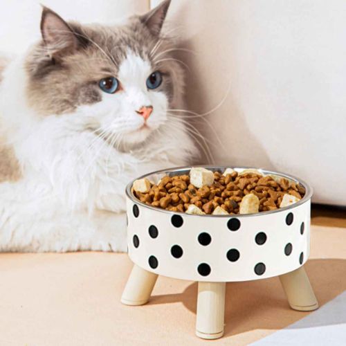 gamelle chat avec nourriture single