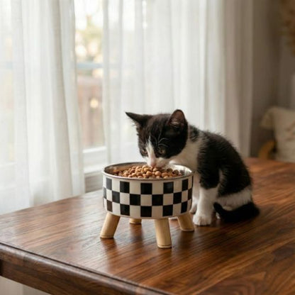 gamelle chate et chaton noir et blanc single