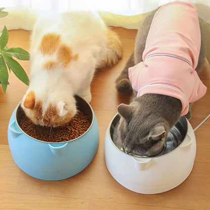 Gamelle chat et chats qui magent