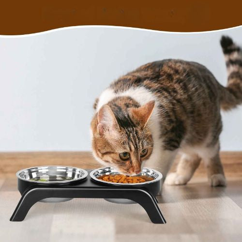 gamelle chat et chatte calico