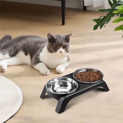 Gamelle chat noire dans salon Quadratique