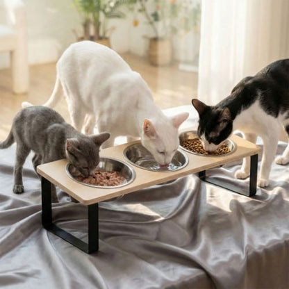 gamelle chat surelevee avec trois chats petravel