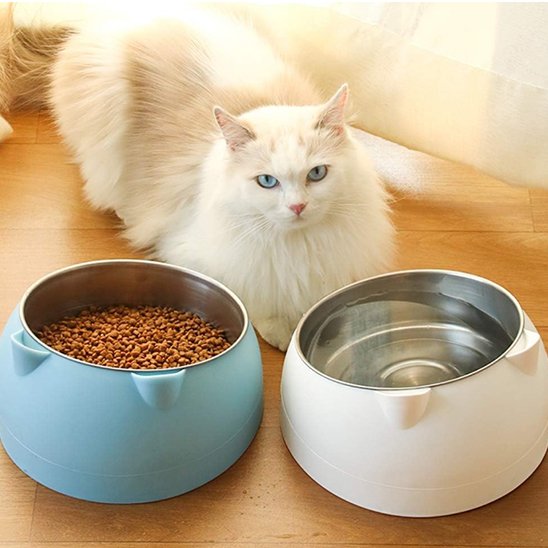 Gamelle pour chat bleue et blanche