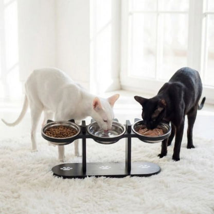 gamelle pour chat qui mangent dans un salon