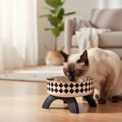 gamelle pour chat siamois qui mange simple