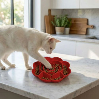 gamelles anti glouton chat blanc sur comptoir SparkPro