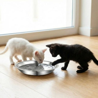 gamelles chaton avec chatons blanc et noir jinyuepet