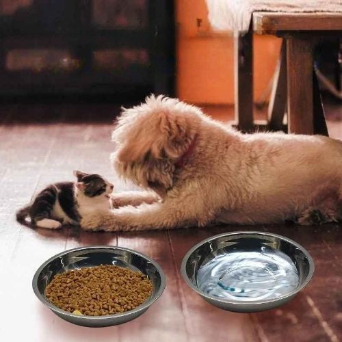 gamelles chaton et chien jinyuepet
