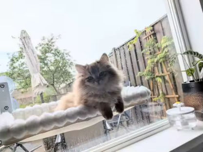 hamac pour chat fenêtre Pet utilisateur satisfait Orizon