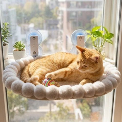 hamac pour chat fenetre en hauteur PetOrizon